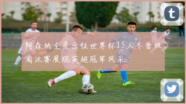 阿森纳全员出征世界杯15人齐晋级淘汰赛展现英超冠军风采